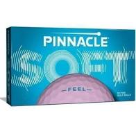 PINNACLE SOFT